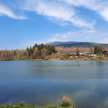 Fewo Bayerischer Wald Im Lamer Winkel Arrach Εξωτερικό φωτογραφία