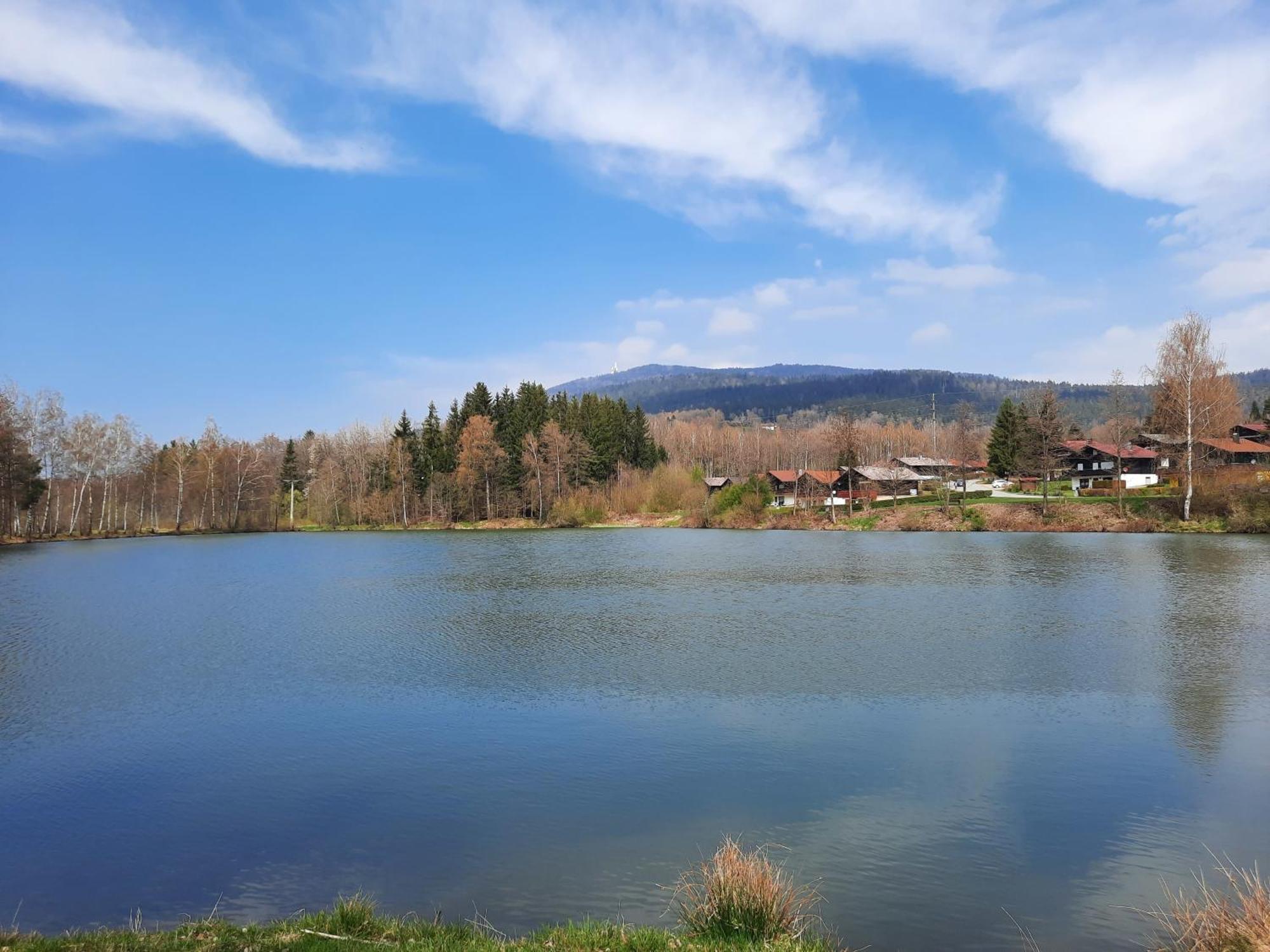 Fewo Bayerischer Wald Im Lamer Winkel Arrach Εξωτερικό φωτογραφία