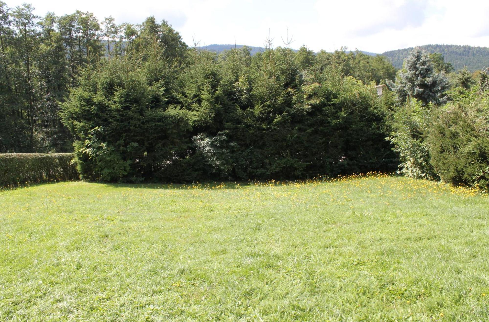 Fewo Bayerischer Wald Im Lamer Winkel Arrach Εξωτερικό φωτογραφία